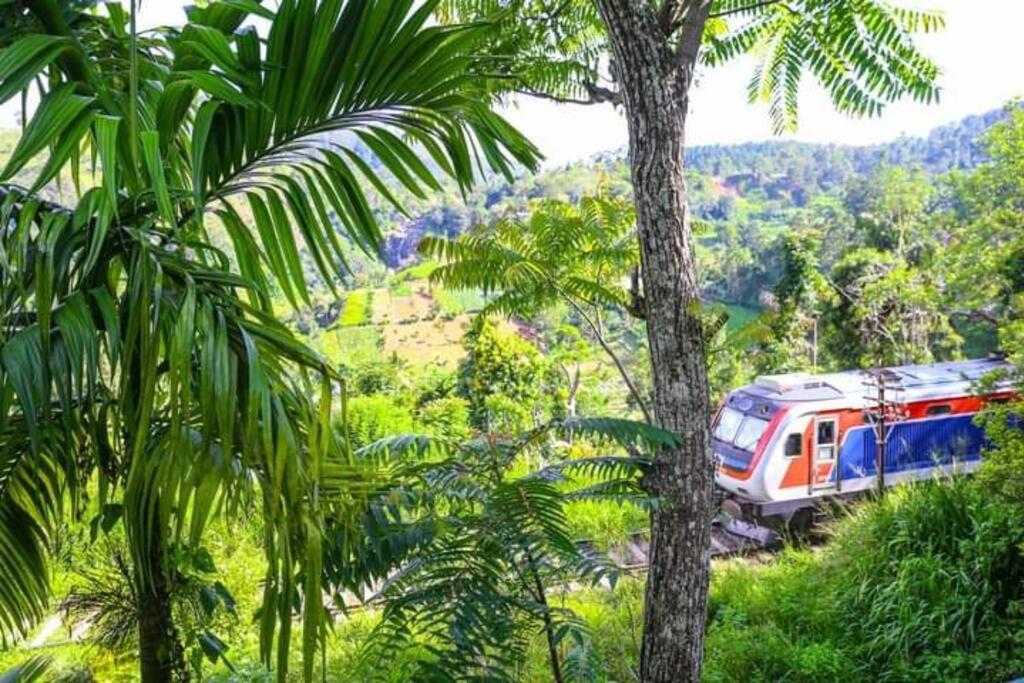 Ella Bamboo Cabana Bagian luar foto